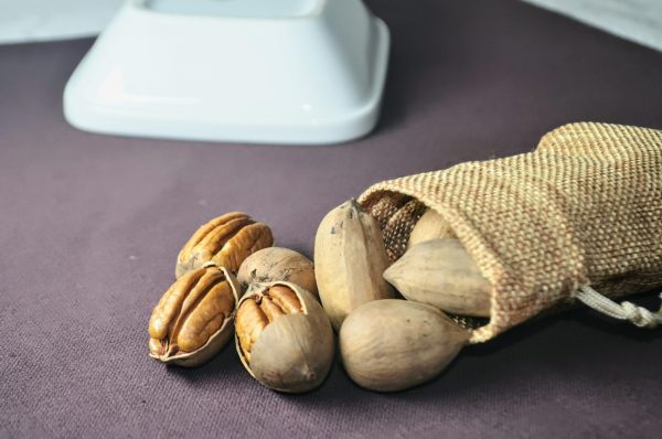 Pecan Nuts In Shell