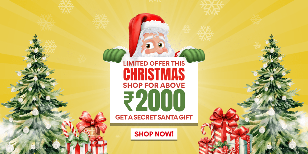 Christmas offer Web Banner