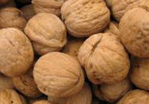 Kashmiri Walnuts In Shell